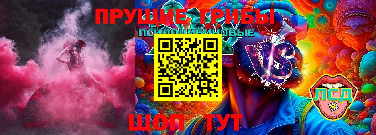Галлюциногенные грибы Magic Shrooms  Вход с VPN  Камышлов 