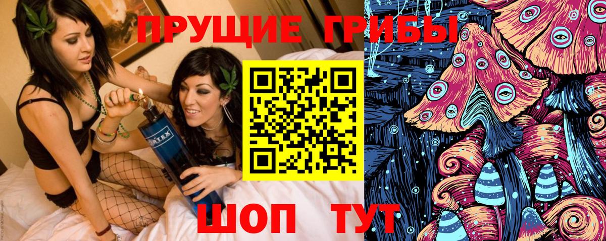 Галлюциногенные грибы GOLDEN TEACHER Камышлов